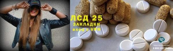 ПСИЛОЦИБИНОВЫЕ ГРИБЫ Алексеевка
