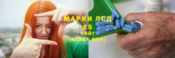 ПСИЛОЦИБИНОВЫЕ ГРИБЫ Алексеевка