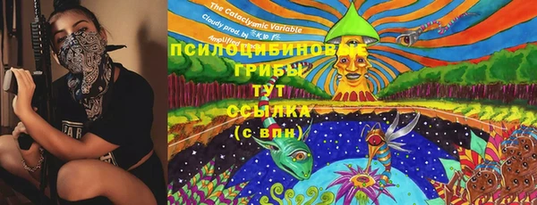 индика Абдулино