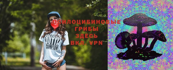 ПСИЛОЦИБИНОВЫЕ ГРИБЫ Алексеевка