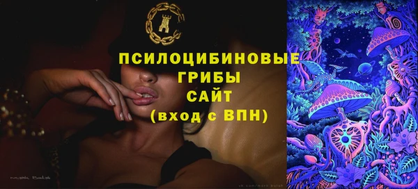индика Абдулино