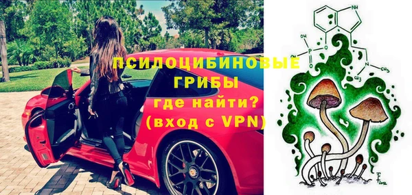 ПСИЛОЦИБИНОВЫЕ ГРИБЫ Алексеевка