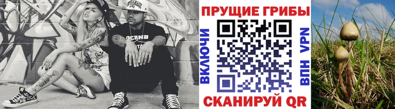 Псилоцибиновые грибы Cubensis Сухиничи